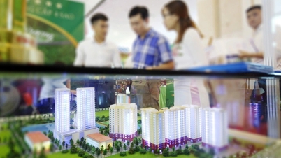 Công ty môi giới có hơn 24.000 thành viên làm ăn ra sao?