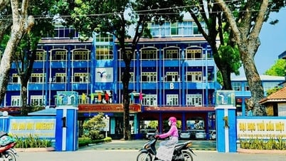 What did the leaders of Thu Dau Mot University say about the incorrect collection of over 37 billion VND?