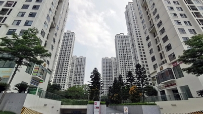 Hanoi apartment buildings cool down, landlords welcome old guests back