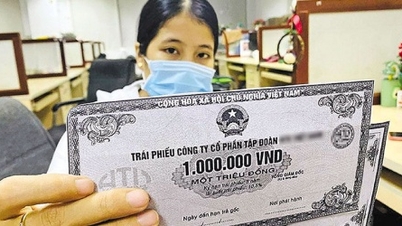 Thiếu cả hàng hóa lẫn cơ chế