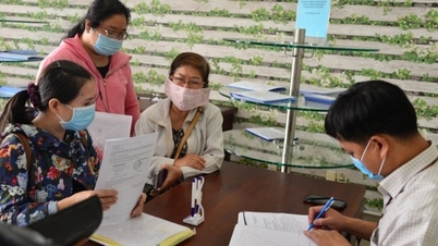 Thu nhập lãnh đạo ấp tại TPHCM bao nhiêu mà phải "chạy chức"?