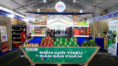 Kinh tế hợp tác xã nông nghiệp: Hơn 60% hoạt động có hiệu quả