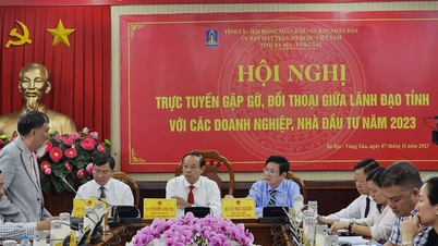 Hiệp hội doanh nghiệp vừa và nhỏ Bà Rịa- Vũng Tàu muốn đổi thành hội 'đặc thù'