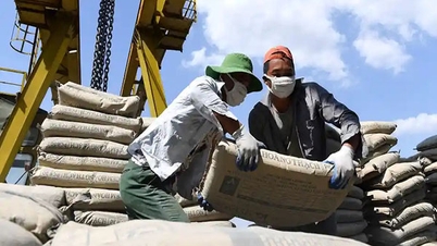 Filipinas anuncia el inicio de una investigación de salvaguardia sobre el cemento importado de varios países...