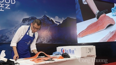 Vietnam is an attractive market for Norwegian seafood exporters.