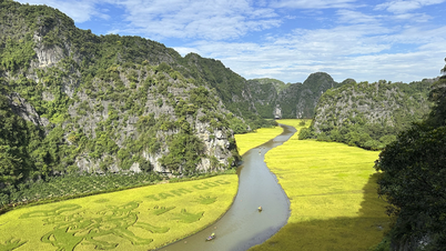 សប្តាហ៍ទេសចរណ៍ Ninh Binh ឆ្នាំ 2024៖ ពណ៌មាសនៃ Tam Coc-Trang An
