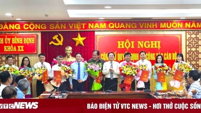 Điều động, bổ nhiệm nhiều cán bộ tại Bình Định