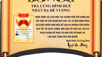 El té real Duc Phuong Hue ha alcanzado nivel internacional