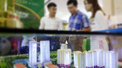 Môi giới chuyên nghiệp tiết lộ bí kíp bán nhà được giá