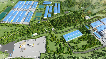 Doanh nghiệp xin đầu tư nhà cao tầng để nuôi lợn