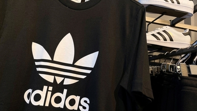 Adidas រាយការណ៍ពីការខាតបង់លើកដំបូងក្នុងរយៈពេល 30 ឆ្នាំ។