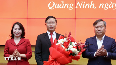Mr. Pham Duc An was elected Chairman of the People's Committee of Quang Ninh province.