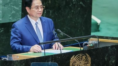 The philosophy of 'trust' at the United Nations