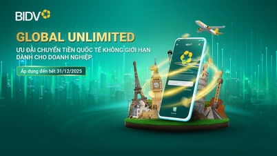 BIDV Unlimited International Money Transfer Promotion for Businesses