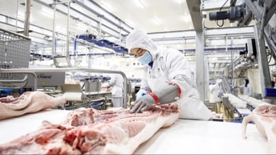 Giá heo hơi đi ngang, thị trường duy trì xu hướng ảm đạm