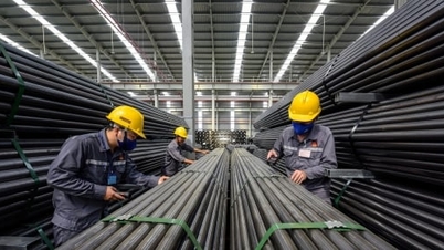 Hoa Sen achieved 103 billion VND in profit after tax in the first quarter of the 2023 - 2024 fiscal year