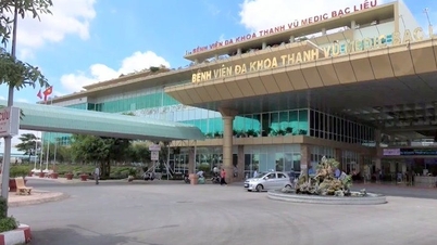 Bac Lieu: Investigation agency announces cause of death of 34-week-old fetus at hospital