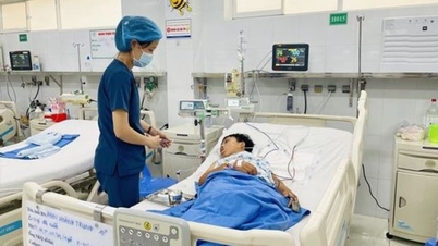 Chưa có thuốc điều trị đặc hiệu, cần cẩn trọng với nguy cơ ngộ độc nấm
