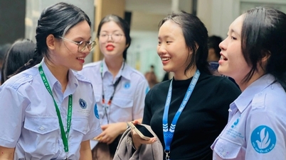 Hàng loạt trường đại học ở TPHCM công bố điểm chuẩn