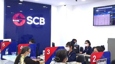 Trước khi bà Trương Mỹ Lan bị bắt, ngân hàng SCB đoạt 72 giải thưởng 'tốt nhất'