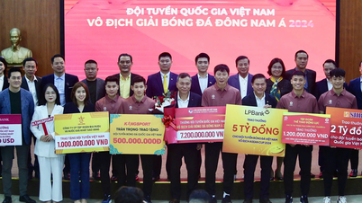 VFF zahlt dem vietnamesischen Team einen riesigen Bonus, die Gesamtsumme, die der Champion erhält, ist riesig!