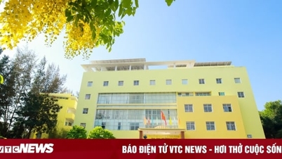 Đại học Trà Vinh‎ thăng hạng 43 trong top 100 của WURI Ranking 2023