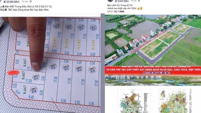 Diễn biến giá đất Thanh Oai trước vụ đấu giá 100 triệu đồng/m2