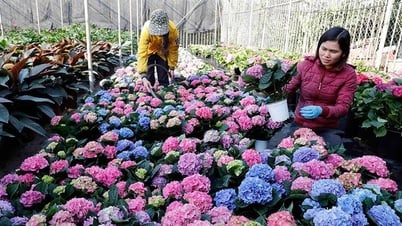 Hung Yen 주민들에게 아름답고 풍부한 샘물을 선사합니다.