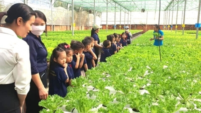 Ho Chi Minh City discusses solutions for developing agricultural tourism