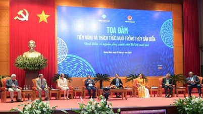 Nuôi biển hướng đến mục tiêu xuất khẩu 2 tỷ USD