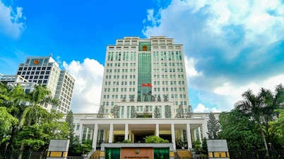 Bộ Tài nguyên và Môi trường có 10 đơn vị sự nghiệp công lập trực thuộc