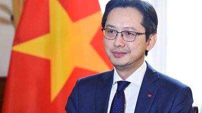 Nơi chia sẻ các ý tưởng mới và sáng tạo