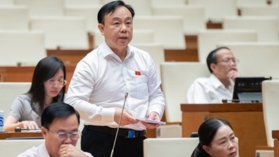 ผู้แทนรัฐสภา: พิจารณาอย่างรอบคอบถึงการจัดหาที่ดินเพื่อวัตถุประสงค์ด้านการป้องกันประเทศและความมั่นคงเพื่อการพัฒนาเศรษฐกิจและสังคม