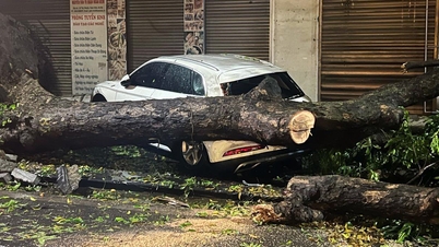 Storms and hail in Hanoi uproot many trees