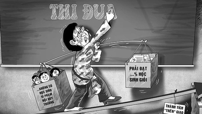 Giáo viên mong hết cảnh 'bội thực' vì đủ loại cuộc thi