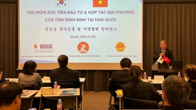 Binh Dinh អំពាវនាវឱ្យសហគ្រាសកូរ៉េមកបណ្តាក់ទុននៅខេត្ត