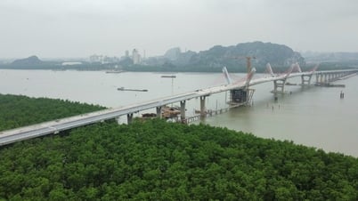 Vì sao dự án cầu Bến Rừng "lỗi hẹn" với lễ hội Hoa phượng đỏ?