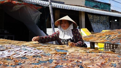 Öka värdet och varumärket för torkade fiskprodukter