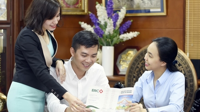 Bảo hiểm - ngành không lỗi thời