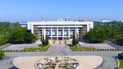 'Trường đại học' thành 'đại học', bằng tốt nghiệp có khác?