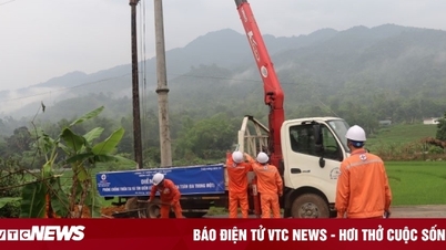 PC Ha Giang ensures power grid safety during storm season