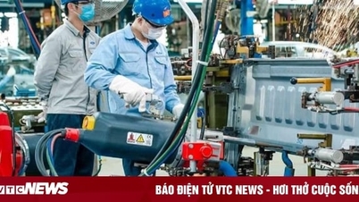In January 2024, industrial production index and import-export turnover increased sharply.