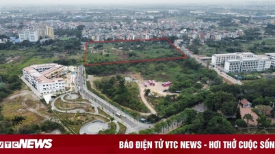 Sắp đấu giá khu đất quận nội thành Hà Nội, giá khởi điểm từ 86 triệu đồng/m2