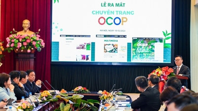 ការបើកគេហទំព័រ OCOP