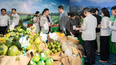 Saigon Co.op ‘bắt tay’ phát triển chuỗi cung ứng bền vững