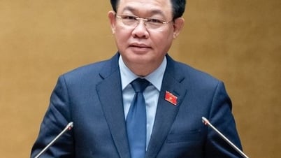 6 laws will take effect from 2024 but there is no implementation plan yet