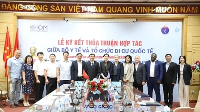 ក្រសួងសុខាភិបាល និង IOM សហការគ្នាដើម្បីលើកកម្ពស់សុខភាពជនចំណាកស្រុក