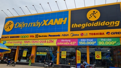 Thế Giới Di Động liên tục giải thể công ty con, Chủ tịch Tài lại vừa 'chốt lời' thêm 1 triệu cổ phiếu