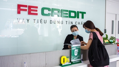 ឥណទាន FE បានបាត់បង់ជាង 700 ពាន់លានដុងក្នុងឆមាសទីមួយនៃឆ្នាំ 2024