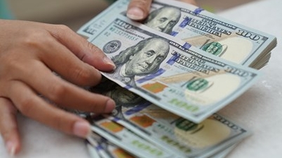 Tỷ giá USD hôm nay (16-8): Đồng USD trong nước bật tăng, thế giới đi ngang